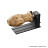 Bild 5 von 6